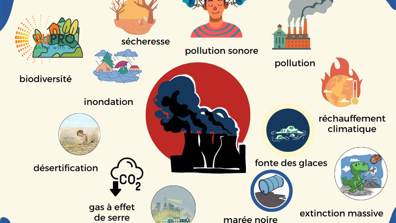 Các từ vựng tiếng Anh phổ biến về môi trường