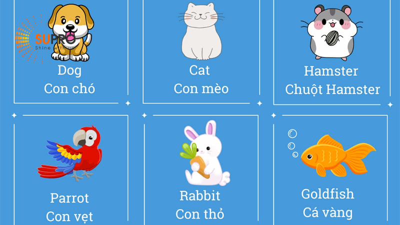 Từ vựng tiếng Anh thông dụng về chủ đề con vật nuôi