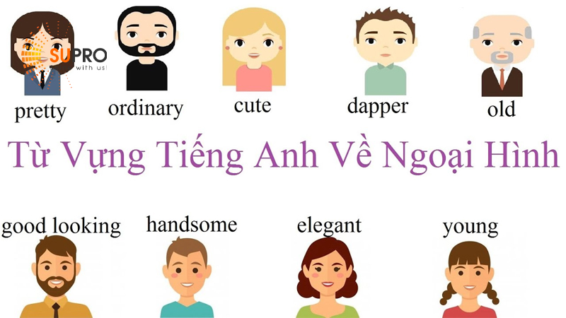 Từ vựng tiếng Anh theo chủ đề ngoại hình