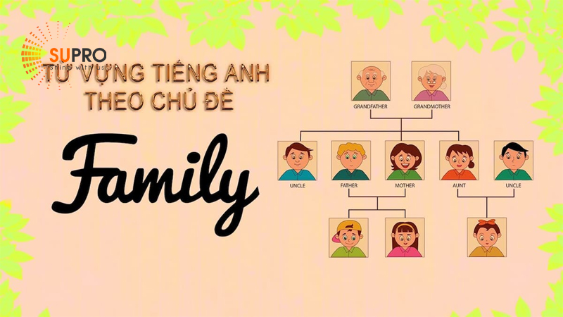 Từ vựng tiếng Anh cơ bản về chủ đề gia đình