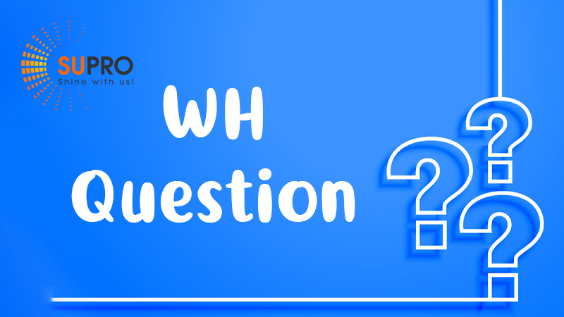 Wh-question là những câu hỏi mở có từ để hỏi nhằm để lấy thông tin