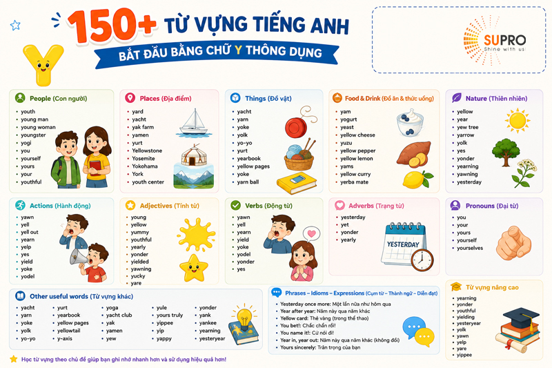 150+ từ vựng tiếng Anh bắt đầu bằng chữ Y thông dụng (kèm phiên âm và ví dụ)