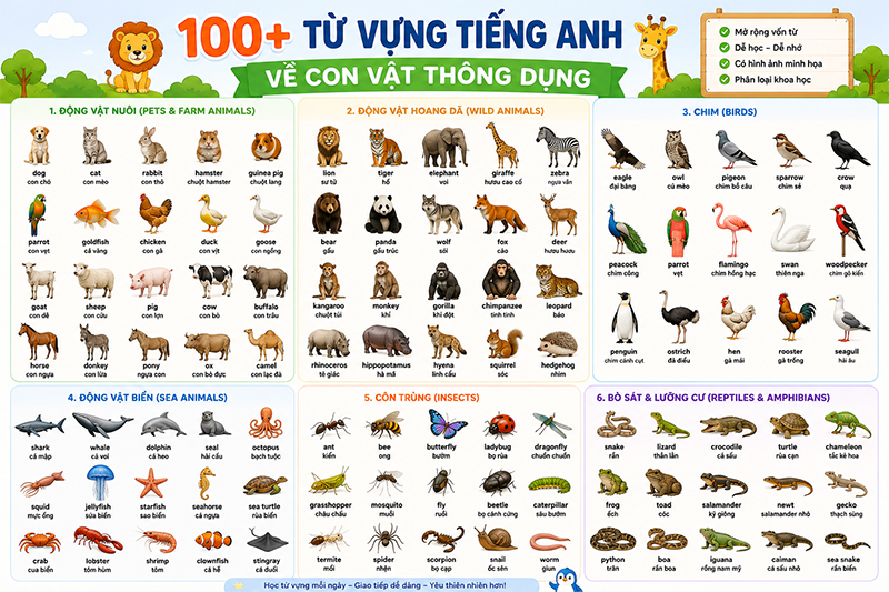 100+ từ vựng tiếng Anh về con vật thông dụng kèm phiên âm