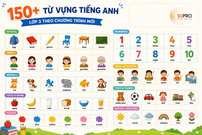 150+ từ vựng tiếng Anh lớp 3 theo chương trình mới (kèm phiên âm và bài tập)