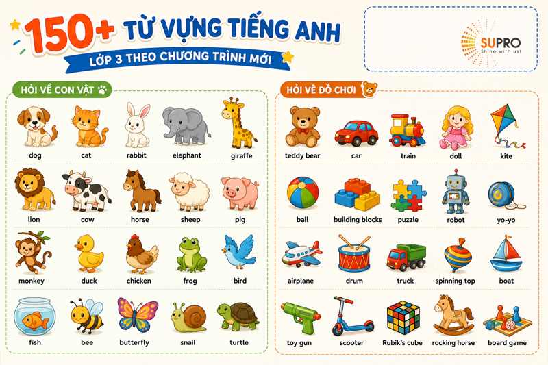 Hỏi về con vật, đồ chơi