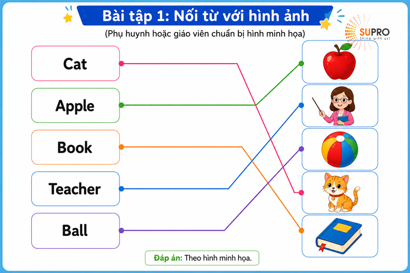 Bài tập 1: Nối từ với hình ảnh