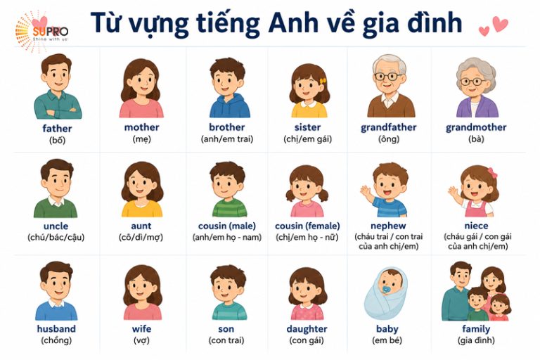 100+ từ vựng tiếng Anh về gia đình: Tổng hợp đầy đủ kèm phiên âm