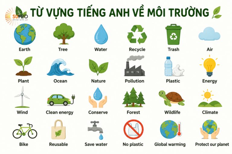 150+ từ vựng tiếng Anh về môi trường từ cơ bản đến nâng cao