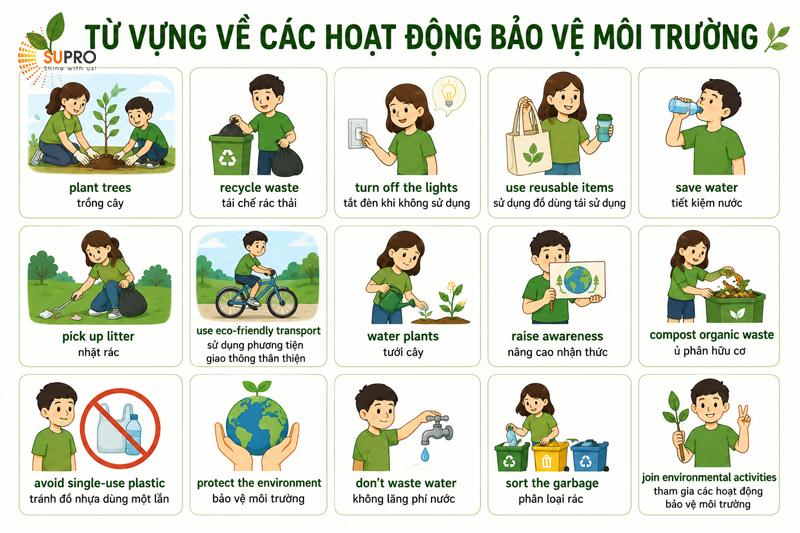 Từ vựng về các hoạt động bảo vệ môi trường